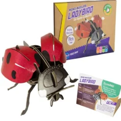 New Ladybird Model Animals|Creative Activities