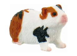 Sale Guinea Pig Role Play|Model Animals