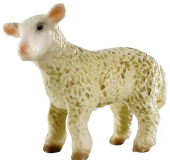 Online Lamb Role Play|Model Animals
