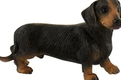 Hot Short Hair Dachshund or Sausage Dog Role Play|Pre School