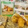 Outlet Crafty Ponies Chippie Pony to Make with a Story about moving stables. Role Play|Model Animals