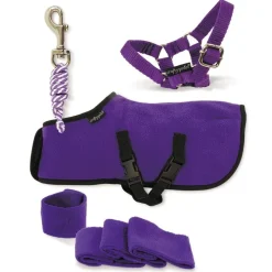 Online Crafty Ponies Fleece Rug Set Role Play|Model Animals