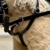 Online Crafty Ponies Leather Martingale with reins to fit onto your Bridle Role Play|Model Animals