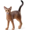 Best Abyssinian Cat 13964 Role Play|Pre School