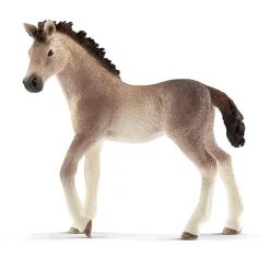 Clearance Andalusian Foal Model Animals