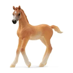 Online Arabian Foal 13984 Role Play|Model Animals