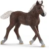Outlet Black Forest Foal Model Animals
