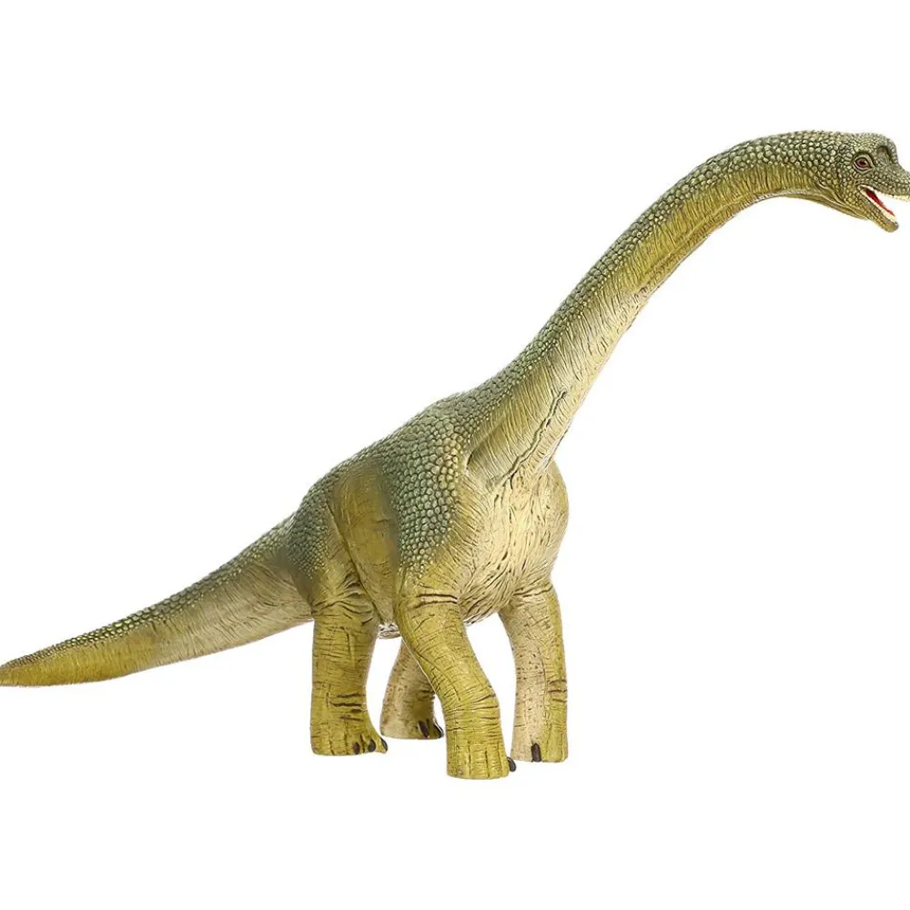 Discount Brachiosaurus Dinosaur 14581 Model Animals