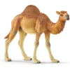 Dromedary / One Hump Camel Model Animals