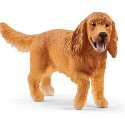 Best English Cocker Spaniel Model Animals