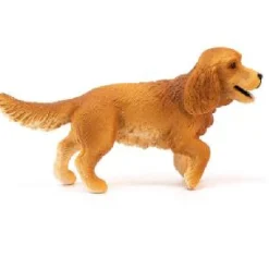 Best English Cocker Spaniel Model Animals