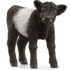 Hot Galloway Calf 13969 Role Play|Model Animals