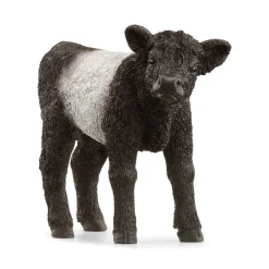 Discount Galloway Calf 13969 Pre School|Role Play