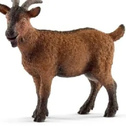 Best Goat Model Animals