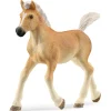 New Haflinger Foal Horse Pre School|Role Play