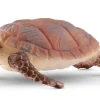 Discount Hawksbill Turtle Pre School|Role Play
