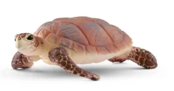 Discount Hawksbill Turtle Pre School|Role Play