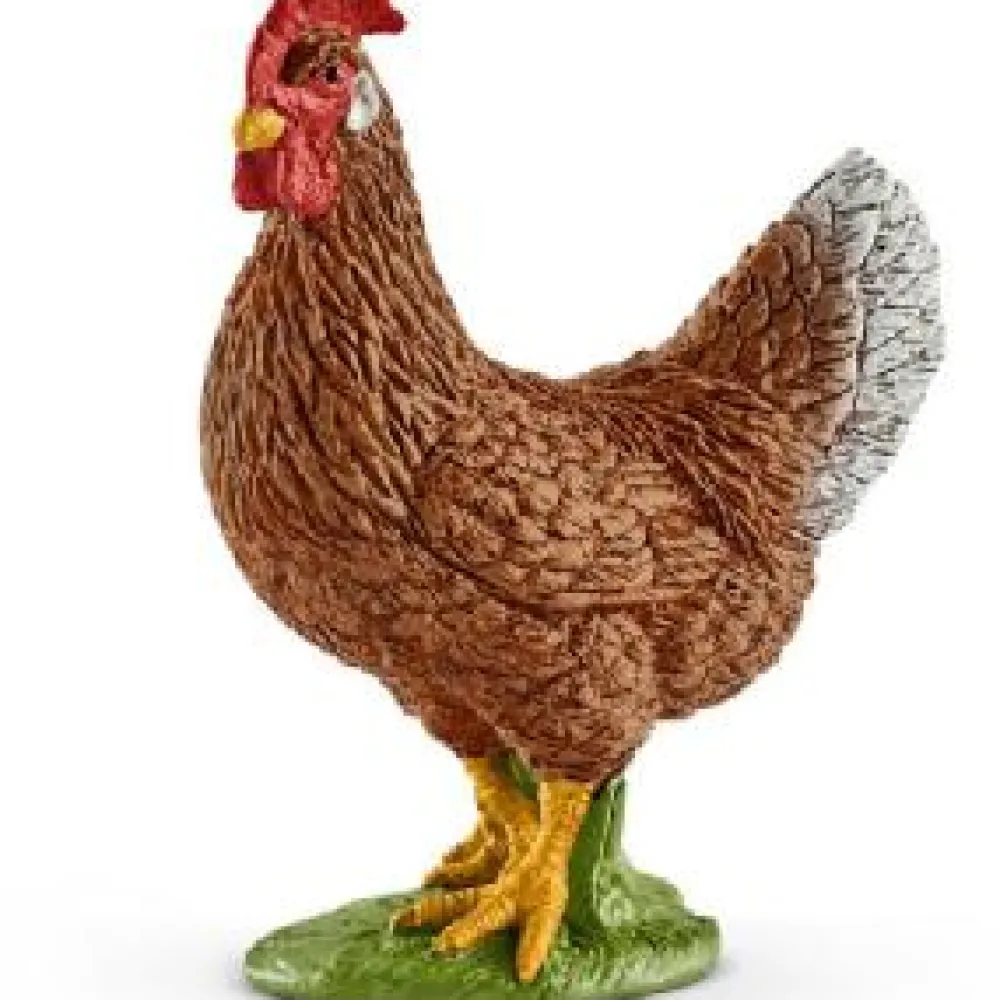 Clearance Hen / Chicken Model Animals
