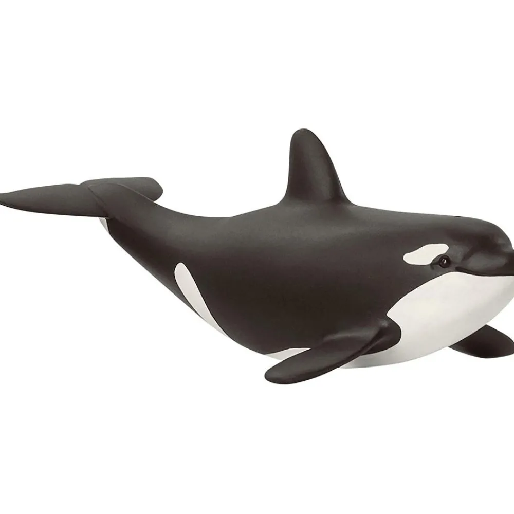 Sale Killer Whale/Orca Baby Model Animals