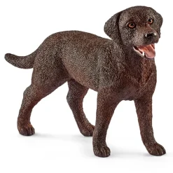 Best Labrador Retriever Model Animals