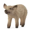 Outlet Mangalica Piglet Pre School|Role Play