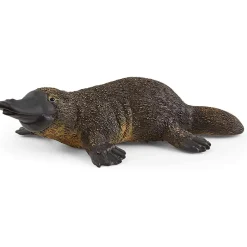 Hot Platypus Model Animals