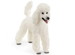 Outlet Poodle Model Animals
