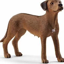 Online Rhodesian Ridgeback Model Animals