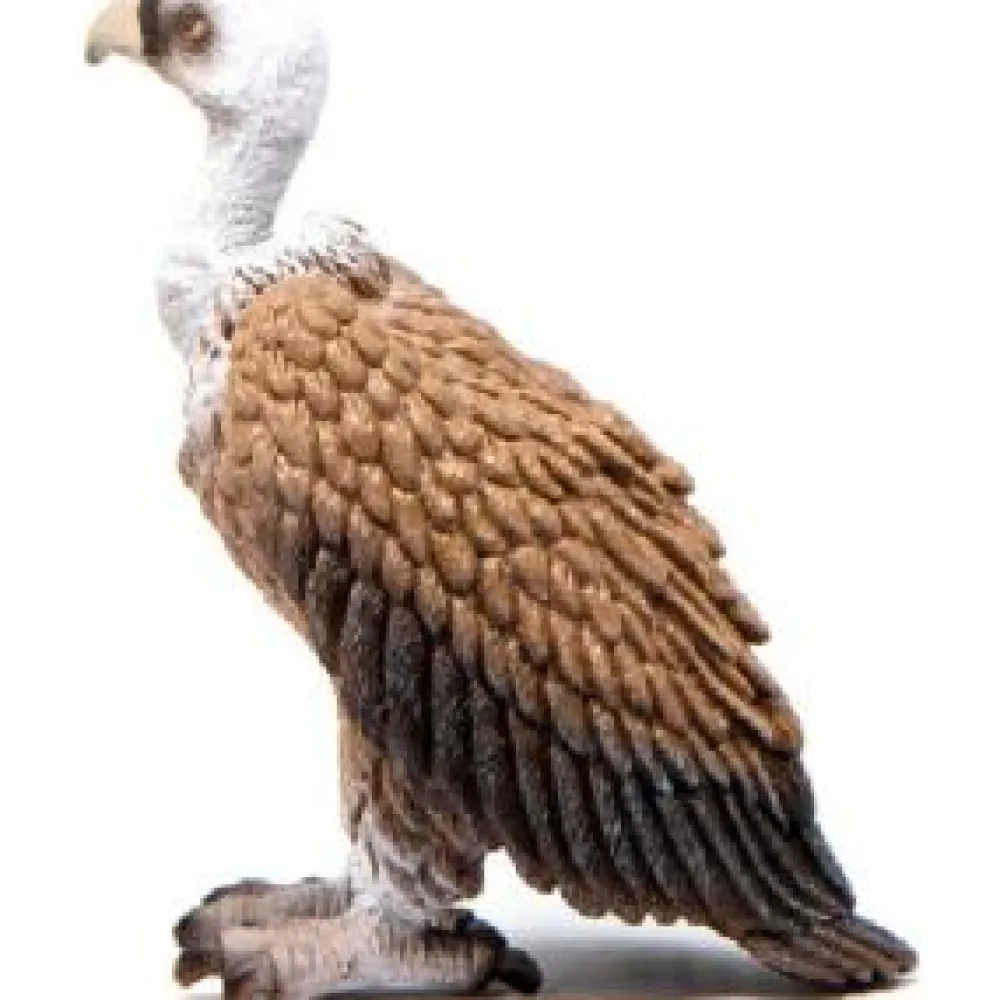 Sale Vulture Role Play|Model Animals