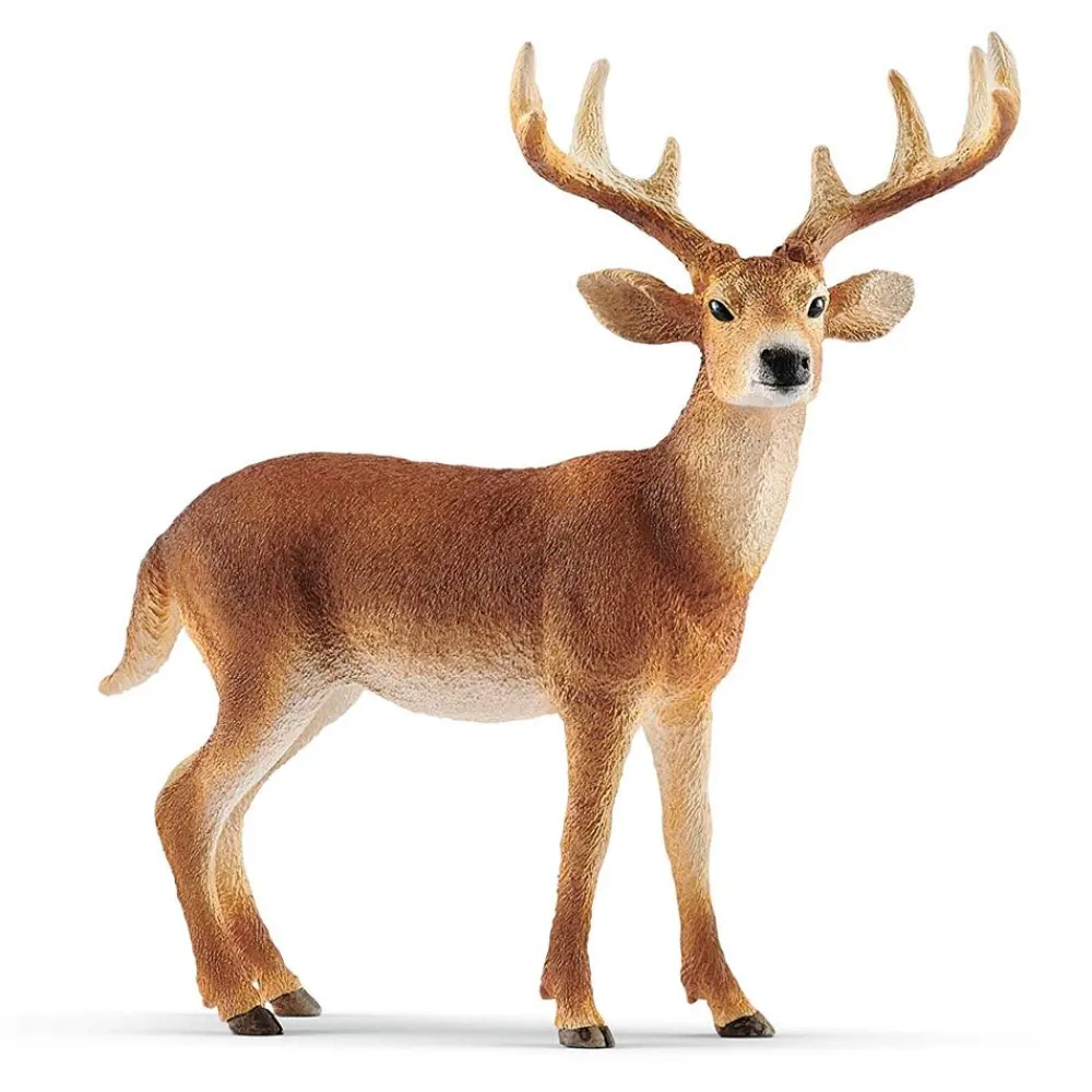 Hot White Tailed Buck Model Animals