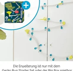 Gecko Run Expansion Loop Creative Activities|Games