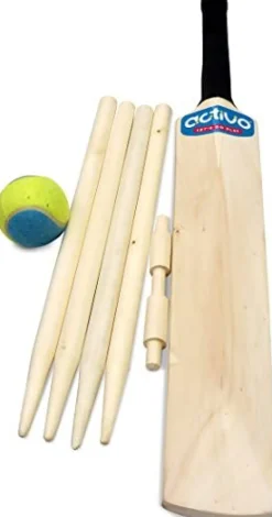 Online Cricket Set in a Bag Sports|Games